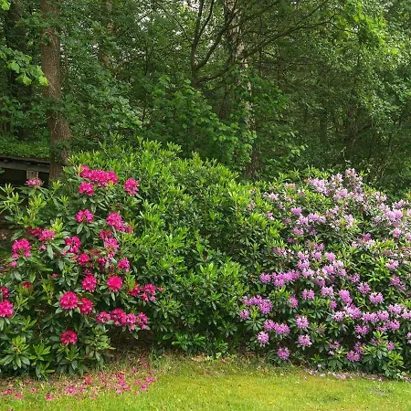 Four-bedroom Holiday In Holiday home Silkeborg